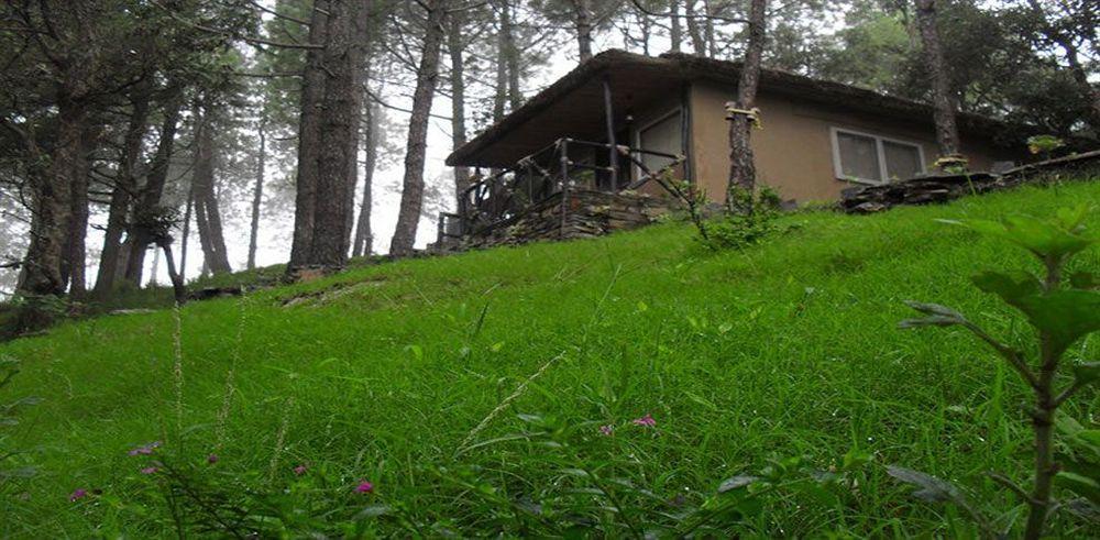 Aamod Resort Shimla Esterno foto