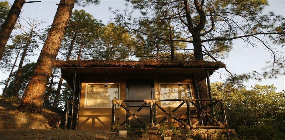 Aamod Resort Shimla Esterno foto