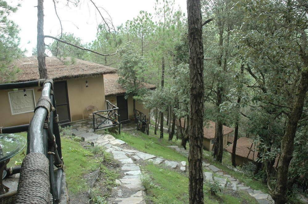 Aamod Resort Shimla Esterno foto